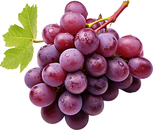 You can place an order through our website by selecting your desired products, adding them to the cart, and checking out. Our Biona Organic Granola with Wild Berries is just the thing to get you out of bed. The goodness of rolled wholegrain oats are combined with a variety of tangy organic berries, and baked into crispy clusters that are as nutritious.