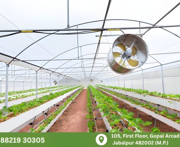 There are many variations of passages of Lorem Ipsum available, but majority have suffered teration in some form, by injected humour, or randomised words which don't look even slight believable. If you are going to use a passage of Lorem Ipsum.