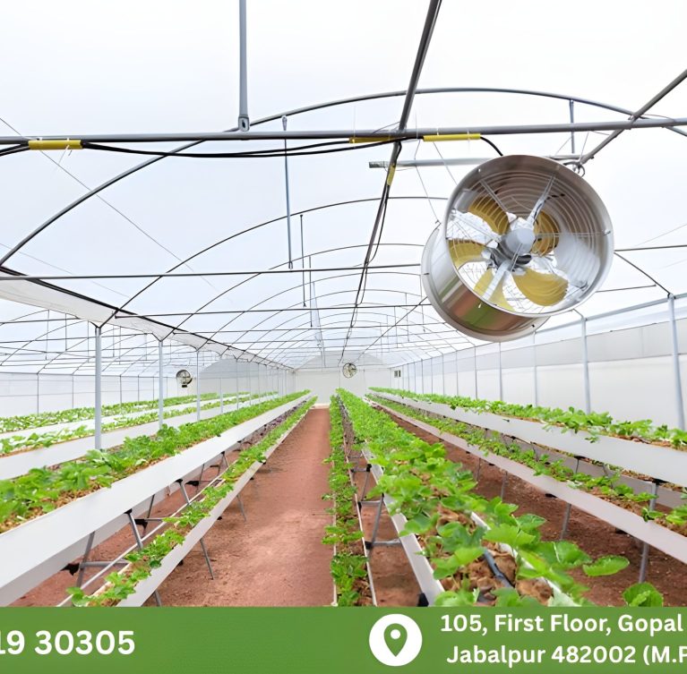 There are many variations of passages of Lorem Ipsum available, but majority have suffered teration in some form, by injected humour, or randomised words which don't look even slight believable. If you are going to use a passage of Lorem Ipsum.