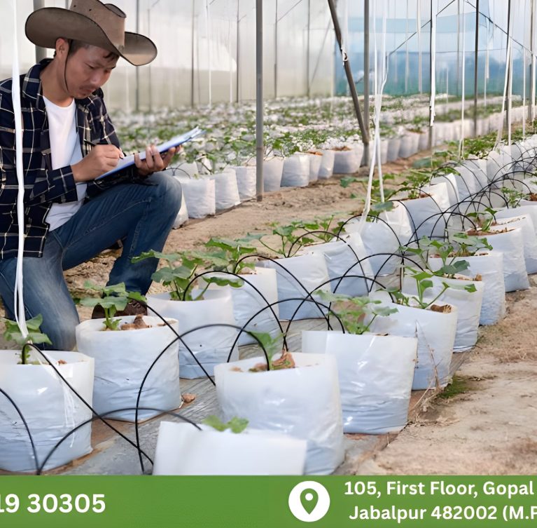 There are many variations of passages of Lorem Ipsum available, but majority have suffered teration in some form, by injected humour, or randomised words which don't look even slight believable. If you are going to use a passage of Lorem Ipsum.