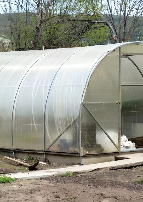 Low-cost tunnels are simple, cost-effective greenhouse structures that provide a controlled environment for crop growth.