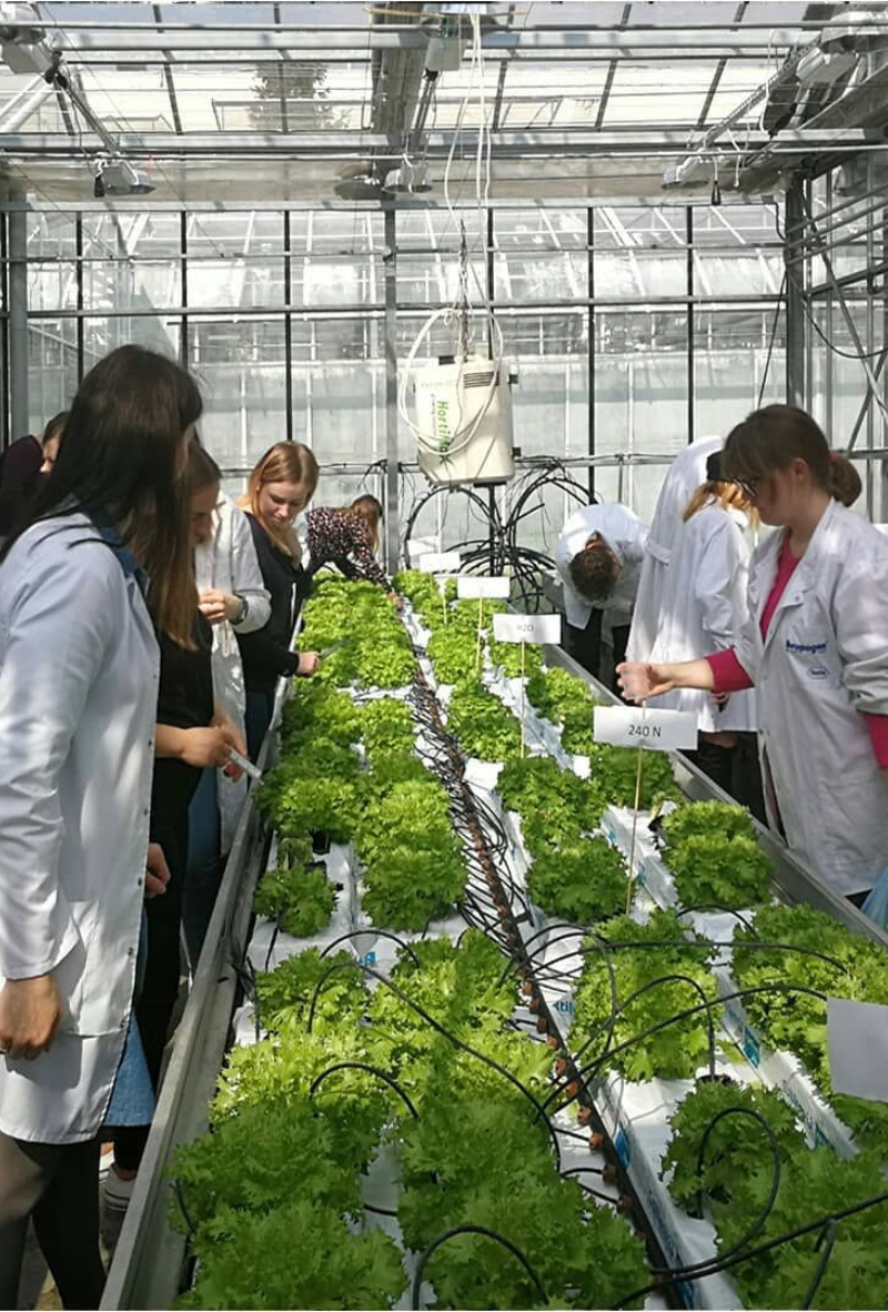 The National Horticulture Board (NHB) is an initiative by the Government of India aimed at promoting the growth of the horticulture sector, including fruits, vegetables, flowers, and medicinal plants.