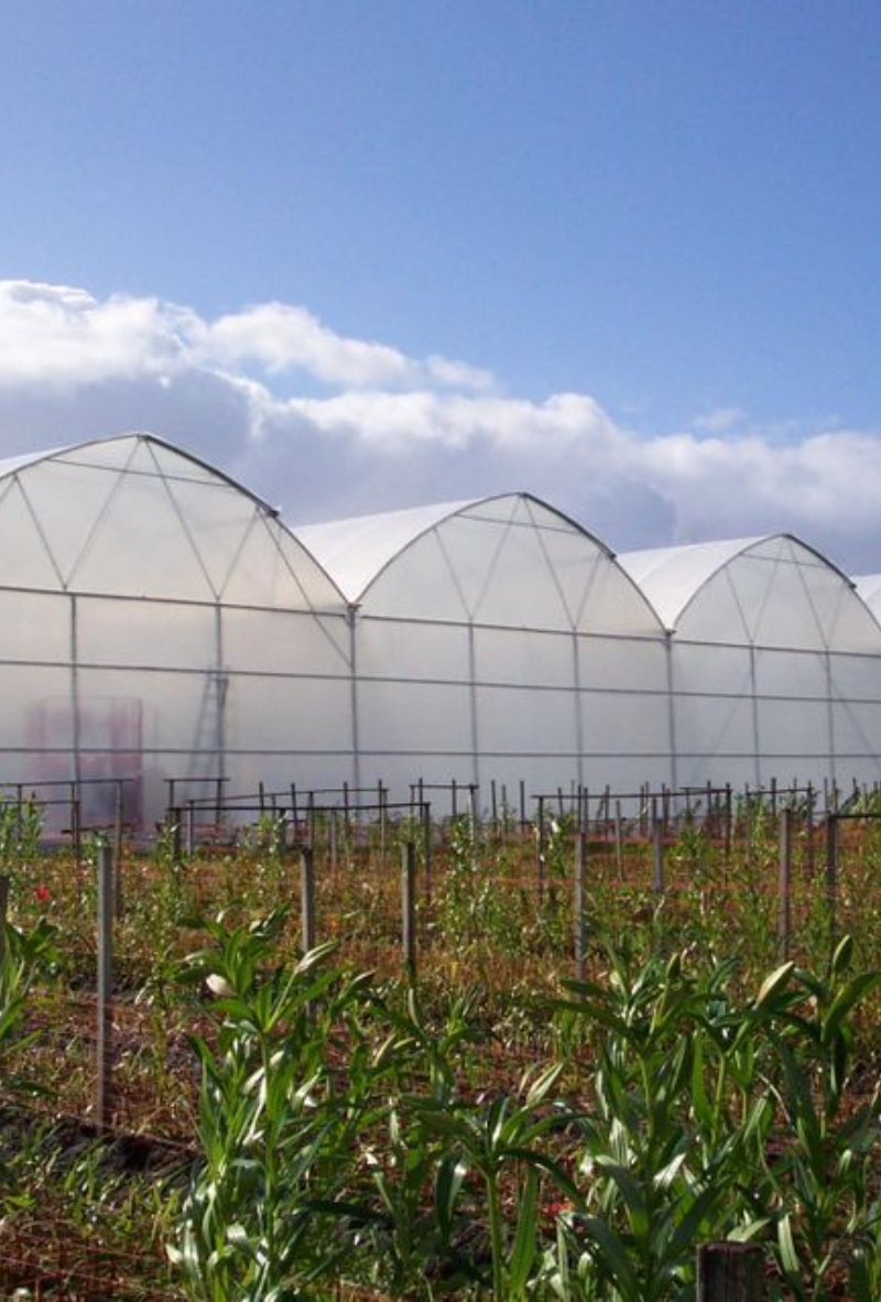 In recent years, the agricultural industry has seen a significant shift toward innovative techniques that improve efficiency, sustainability, and crop yield.