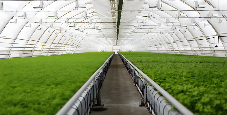 In recent years, the agricultural industry has seen a significant shift toward innovative techniques that improve efficiency, sustainability, and crop yield.