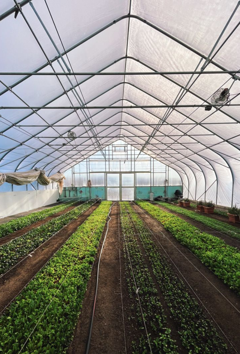 A Shade Net House is a type of agricultural structure designed to protect crops from excess sunlight and harsh weather conditions.